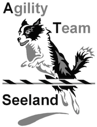 Hundeschule + Labrador-Zucht Seedorf, Aarberg, Schüpfen, Berner Seeland